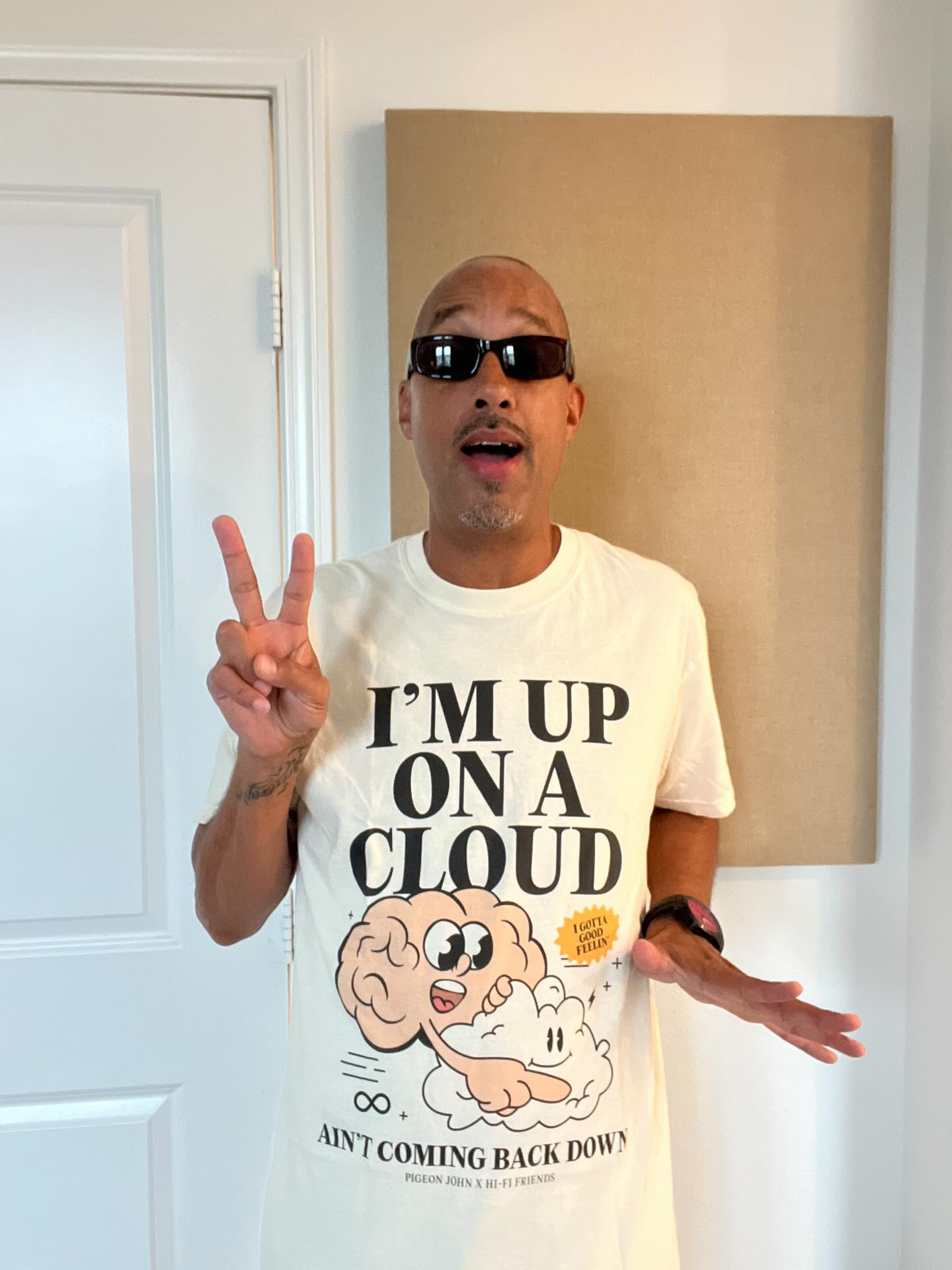 Pigeon John - Hi-Fi Friends